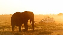 5-Day Classic Serengeti & Ngorongoro Crater Safari