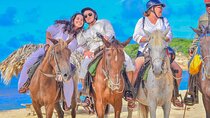 Horseback Riding Excursion to Macao Beach in Punta Cana