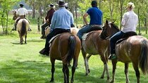 Explore an Authentic Ranch and meet True Gauchos