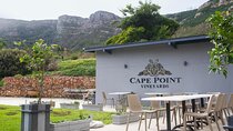 Cape Town Private Tour Table Mountain Penguins and Cape Point
