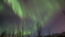 Northern Lights Group Tour from Akureyri
