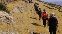 Full-Day Hiking Adventure in Ifrane National Park from Azrou