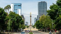 Private CDMX Car Tour