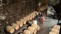 Bordeaux: Wine Tour and Tasting