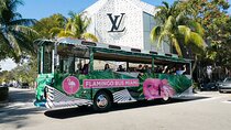 Flamingo Bus Miami Tour | All American Sightseeing Miami Bus Tour