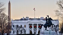 Donuts, Lights & History: DC’s Holiday Walking Food Tour