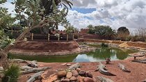 Discover the Fascinating World of Crocopark Agadir