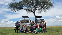 Maasai Mara, Lake Nakuru, Naivasha & Amboseli Classic Safari