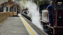 Private Puffing Billy Steam Train and Healesville Sanctuary Tours