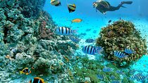 Snorkeling and Relaxation at Giftun Island from Hurghada