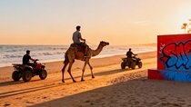 Agadir/Taghazout : Quad Bike & Camel Ride On The Beach