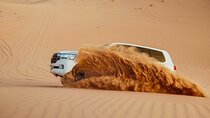 Abu Dhabi Evening Desert Safari, Camel Ride, Shows and BBQ Dinner
