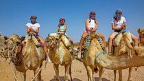 Sahara Adventure Trip with Camel Riding 