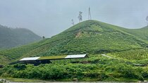 Kochi to Munnar Full Day Tour Eravikulam Tea Estate and Lunch