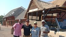 Pilanesberg National Park Big Five Safari Full Day Tour