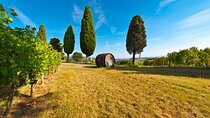Chianti Delights: Tuscany Private Wine Tour from Florence
