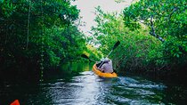 Kayaking Adventure on serene waters through mangroves, Akurala