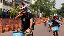 Delhi By Cycle & Old Delhi