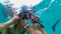 Private Snorkeling Adventure in Pompano Beach