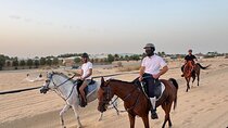 Desert and Beach Horse Ride Guided Adventure