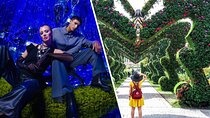 AYA Universe and Dubai Miracle Garden Skip-the-Line Tickets