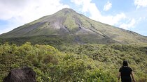 Morning Arenal Volcano Hike, Lunch & Natural Hot Springs River