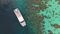 Platinum Snorkeling Escape to Surin Islands by Power Catamaran