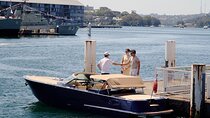 90 Minute Private Luxury Cruise on Sydney Harbour - Up to 4 