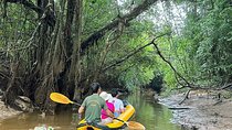 Phuket Jungle Wildlife Canoeing Small Group Tour with Pick up