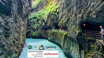 Aare Gorge and Enchanting Swiss Villages Private Tour