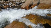 Rocky Mountain National Park Waterfall Hiking Tour