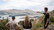 Banks Peninsula Explorer Tour (Half Day Private)