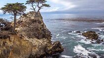 Monterey, Big Sur, 17 Mile Drive 3.5 Hour Private Tour