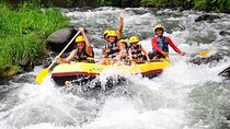 Ubud White Water Rafting with Meal and Optional Hotel Transfer