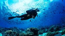 Beginner Scuba Diving in Alanya with Lunch and Transfer