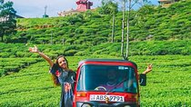 TukTuk Journey Nuwara Eliya - Tea Trails & Waterfalls