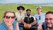 Private Safari Tours in Minneriya National Park
