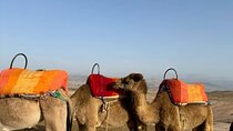 Marrakech Agafay Desert Sunset Camel Ride Dinner and Fire Show 