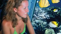Sea Scope Hurghada: Underwater World & Snorkel Voyage
