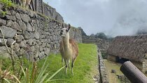 Full Day Machupicchu Tour
