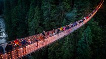 Capilano Suspension Bridge Canyon Lights & 4 Top highlights