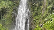 Materuni Waterfalls Coffee Tour and Kikuletwa Hot Springs.