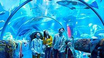 Istanbul Aquarium Admission with Hotel Transfers