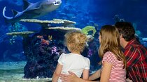 Istanbul Aquarium Experience with Comfortable Hotel Transfers