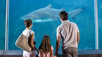 Istanbul Aquarium Admission with Transfers