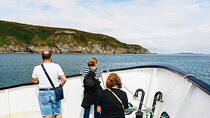 Howth Cliffs and Ireland's Eye Ferry Boat Tour