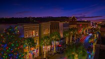 Charleston Festival of Lights Holiday Tour