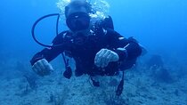  Palm Beach Private Scuba Diving Adventure