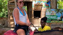 Jamaican Horseback Riding with Falls Experience