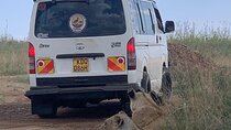 Half Day Guided Tour in Nairobi National Park with 4x4 Vehicle
